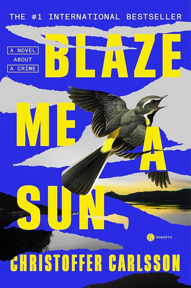 Blaze Me a Sun: A Novel About a Crime cover image