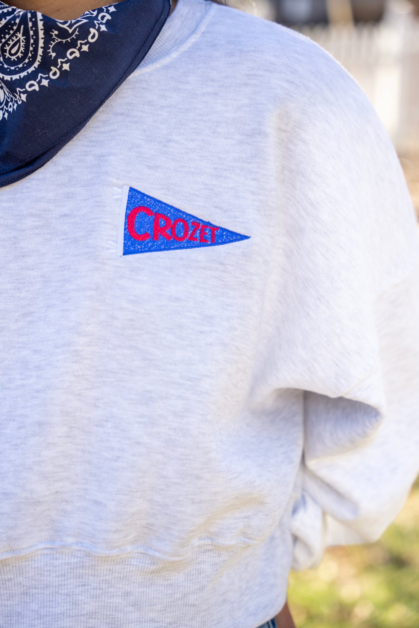 Crozet Pennant Flag Cropped Sweatshirt