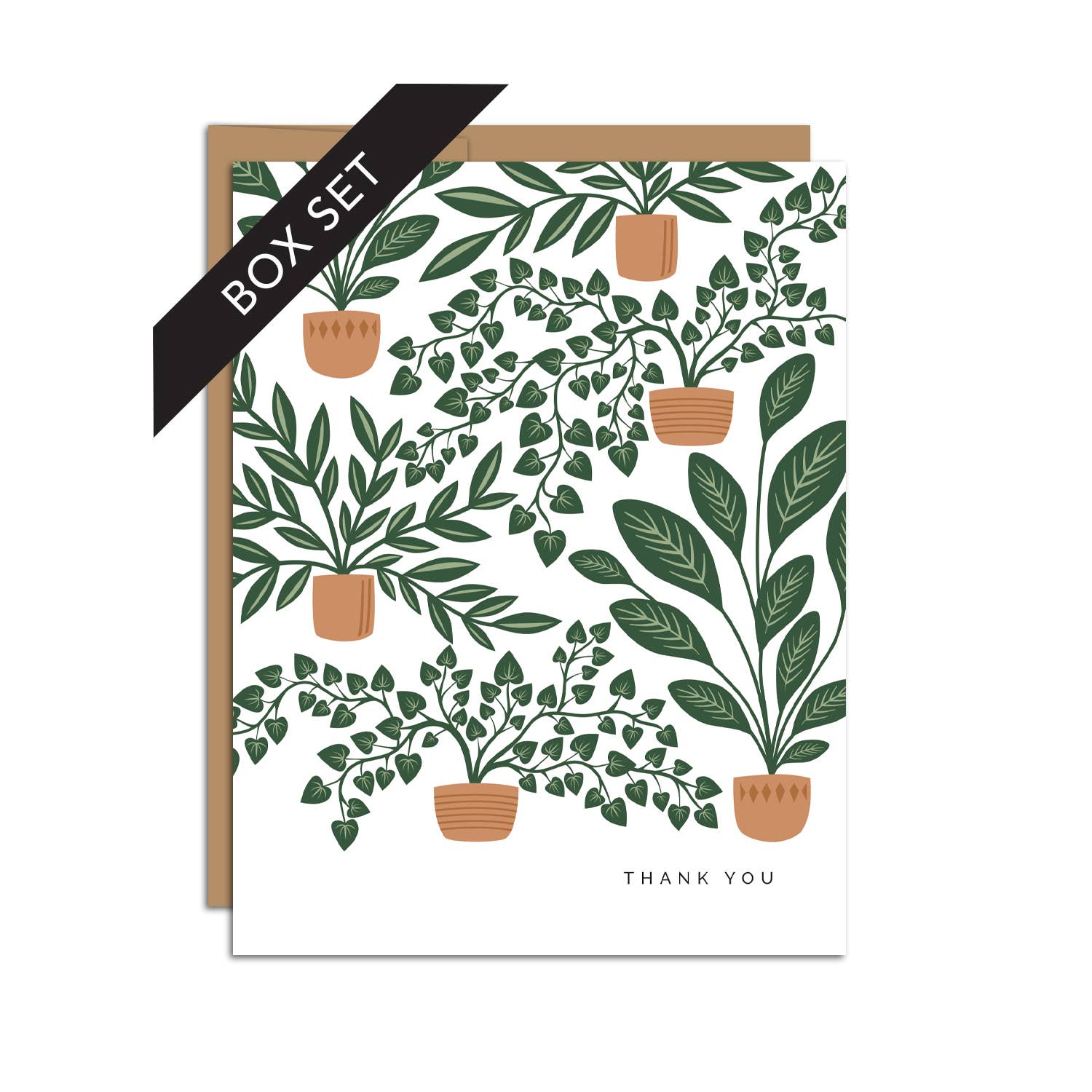 "Thank You" Houseplants / Thank You / BOX SET OF 8