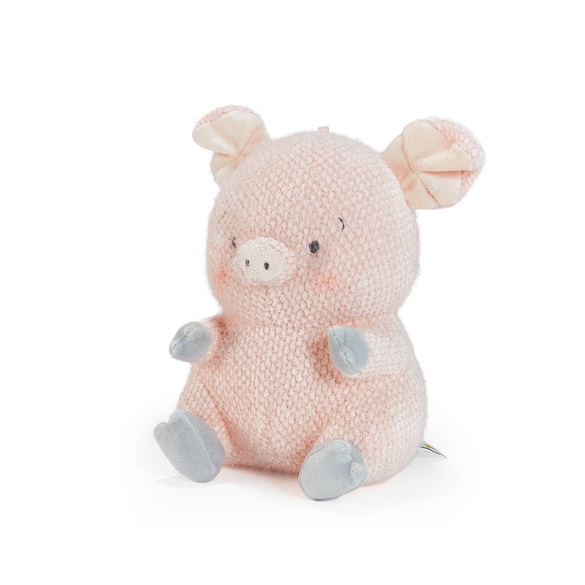 Baby Hammie the Pig
