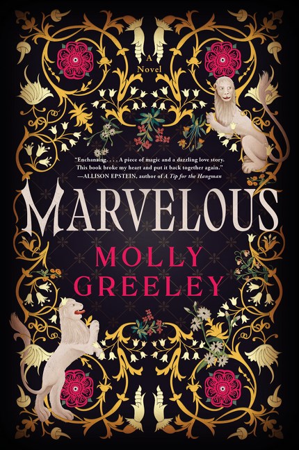 Marvelous: A Novel of Wonder and Romance in the French Royal Court