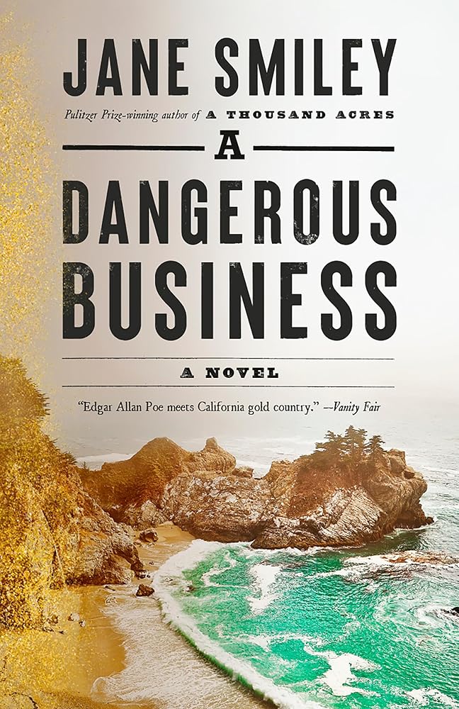 A Dangerous Business: A novel cover image