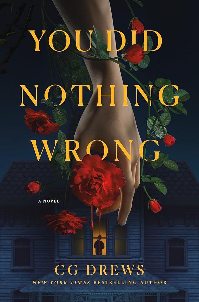 You Did Nothing Wrong: A Novel cover image