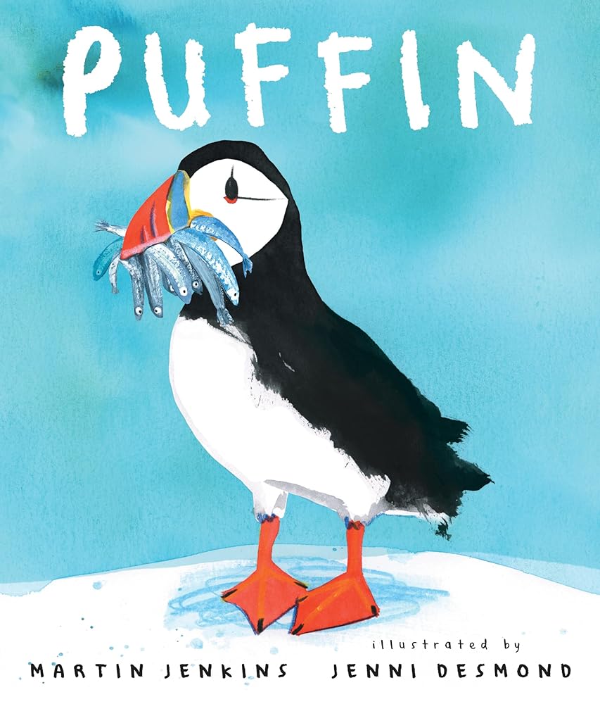 Puffin cover image