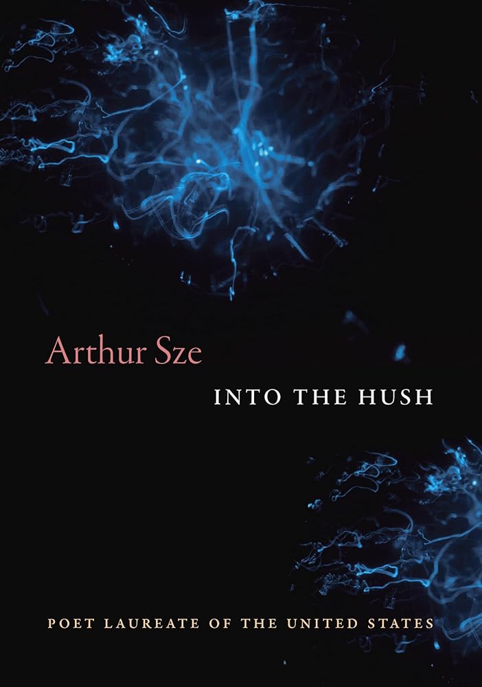 Into the Hush cover image
