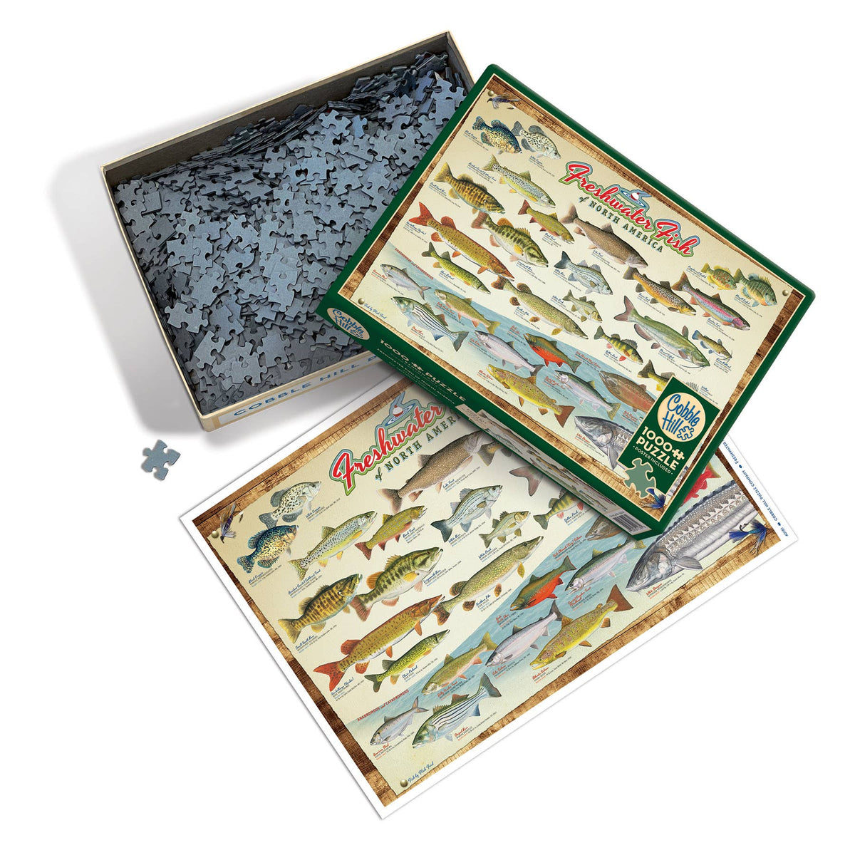 Freshwater Fish of NA 1000-Piece Cobble Hill Puzzle